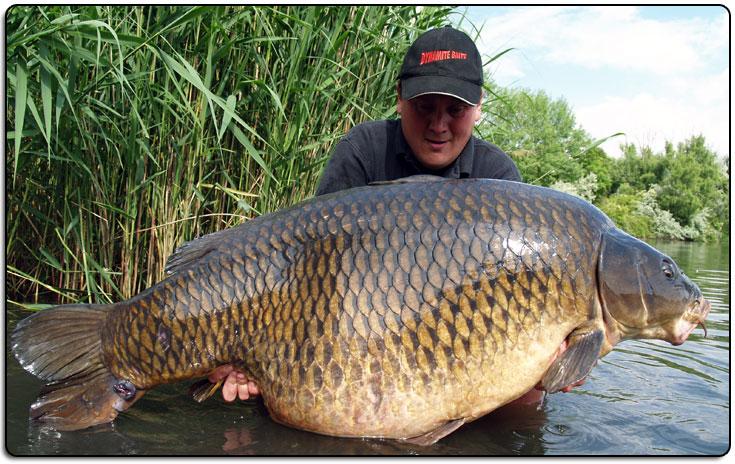 Carp Mary Died - nermin2.jpg